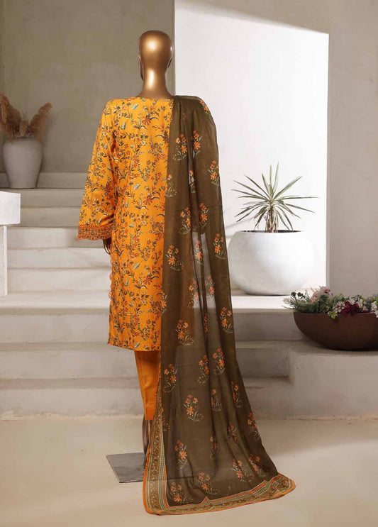 3 Piece Chikankari Stitched Suit